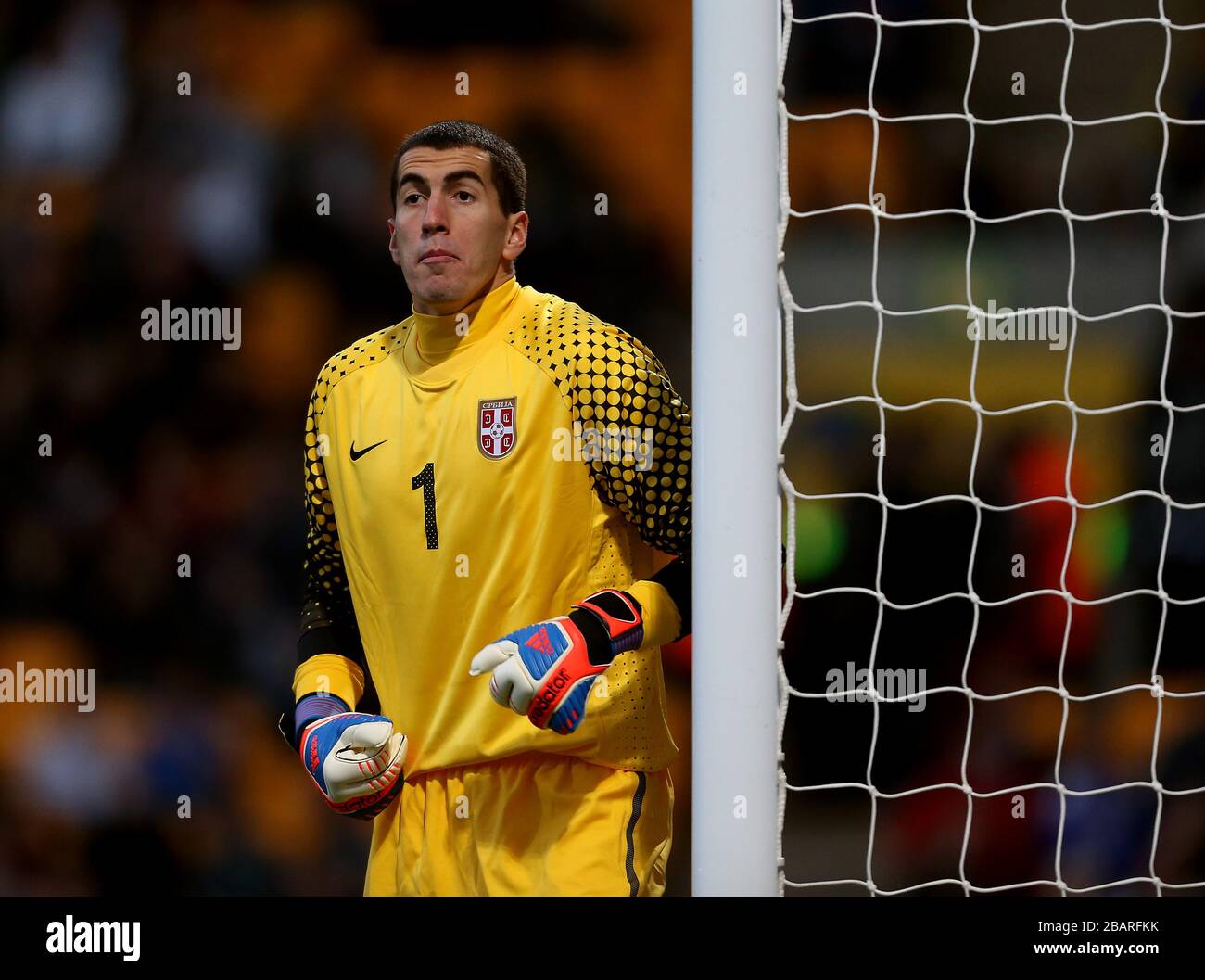Serbia goalkeeper Branimir Aleksic Stock Photo