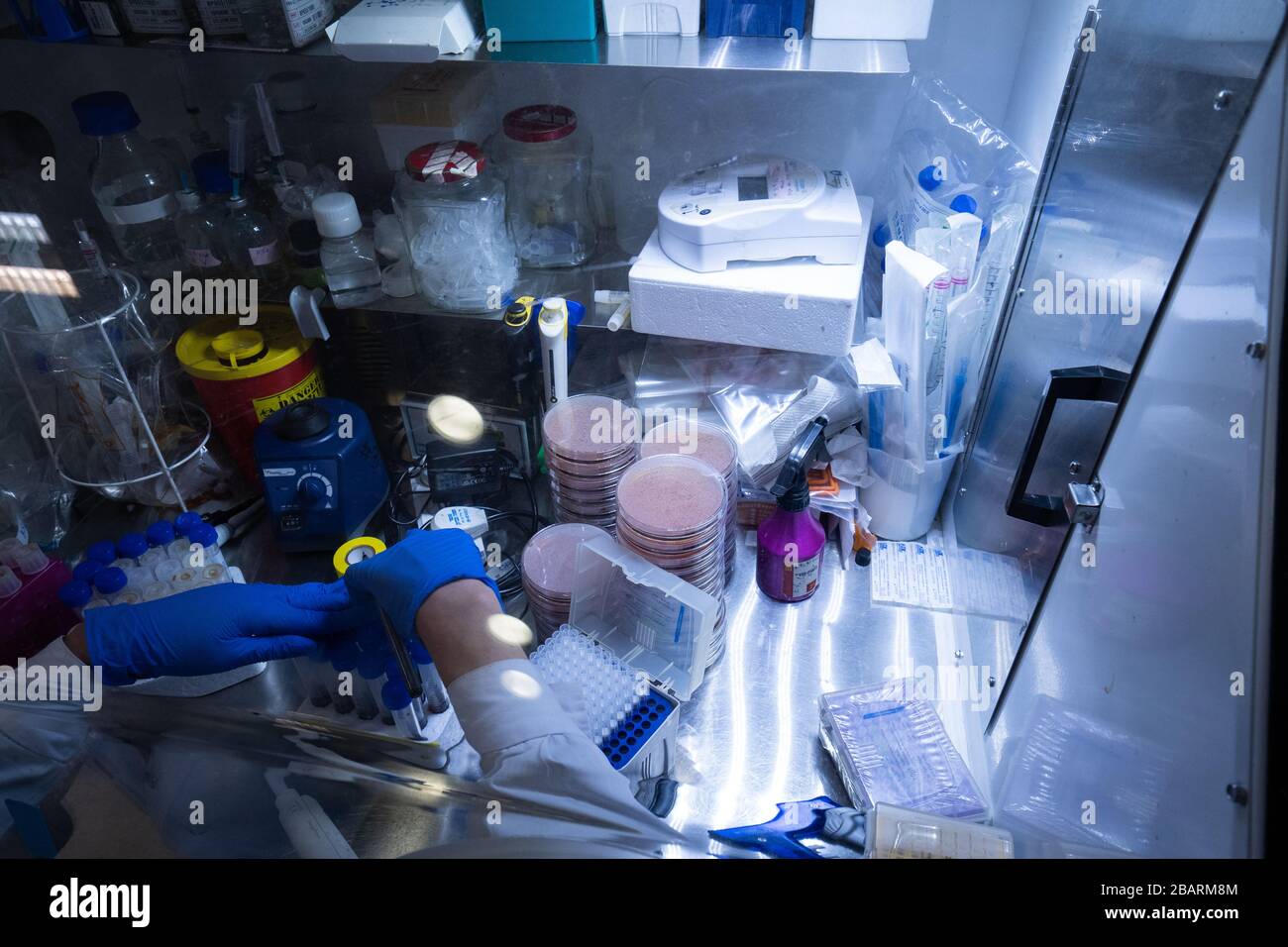 Virus and germ testing laboratory Stock Photo