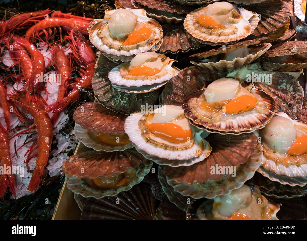 Coquille Saint Jacques High Resolution Stock Photography And Images Alamy Coquille Saint Jacques High Resolution Stock Photography And Images Alamy