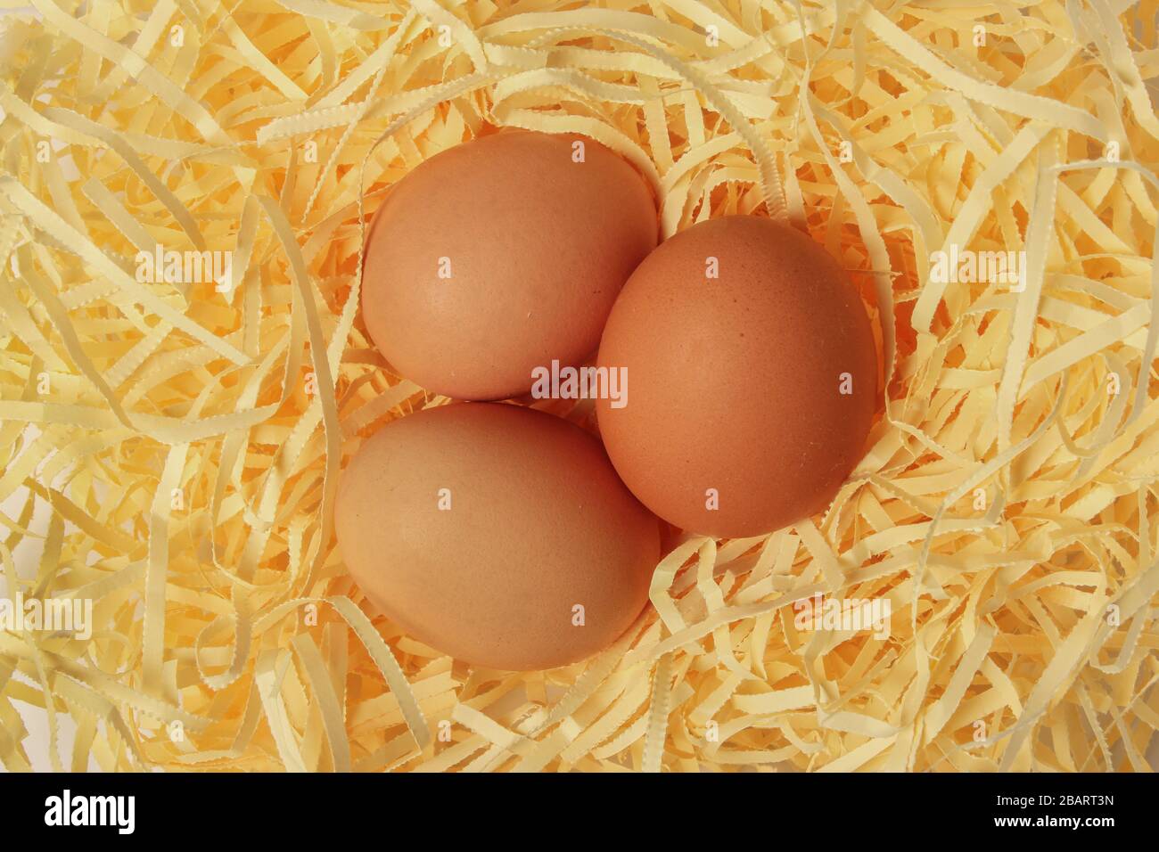 Three chicken eggs in the nest closeup Stock Photo