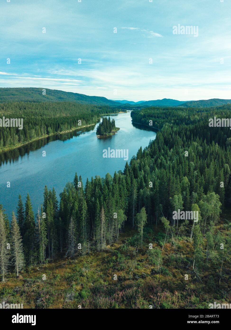 Aerial footage of swedish pine forrest with a river Stock Photo