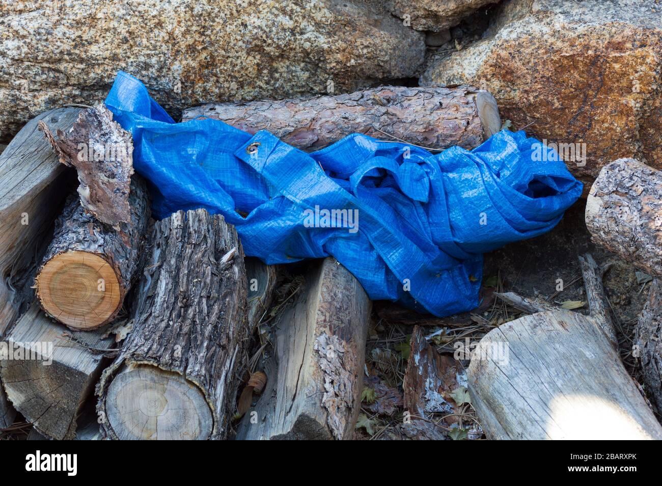 Blue Tarp on an Outdoor Wood Pile with Rock Wall in Background Stock