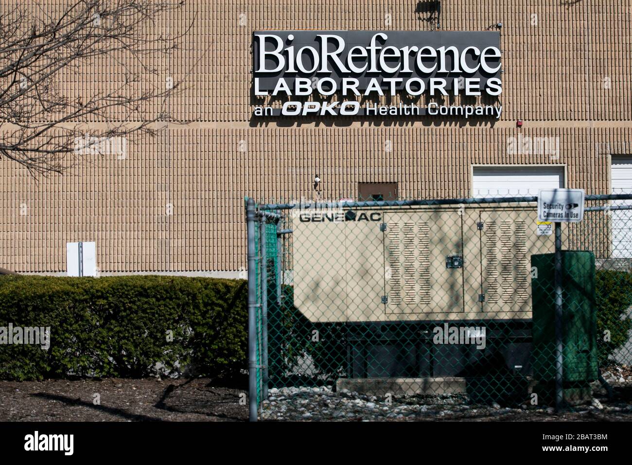 Elmwood park hires stock photography and images Alamy