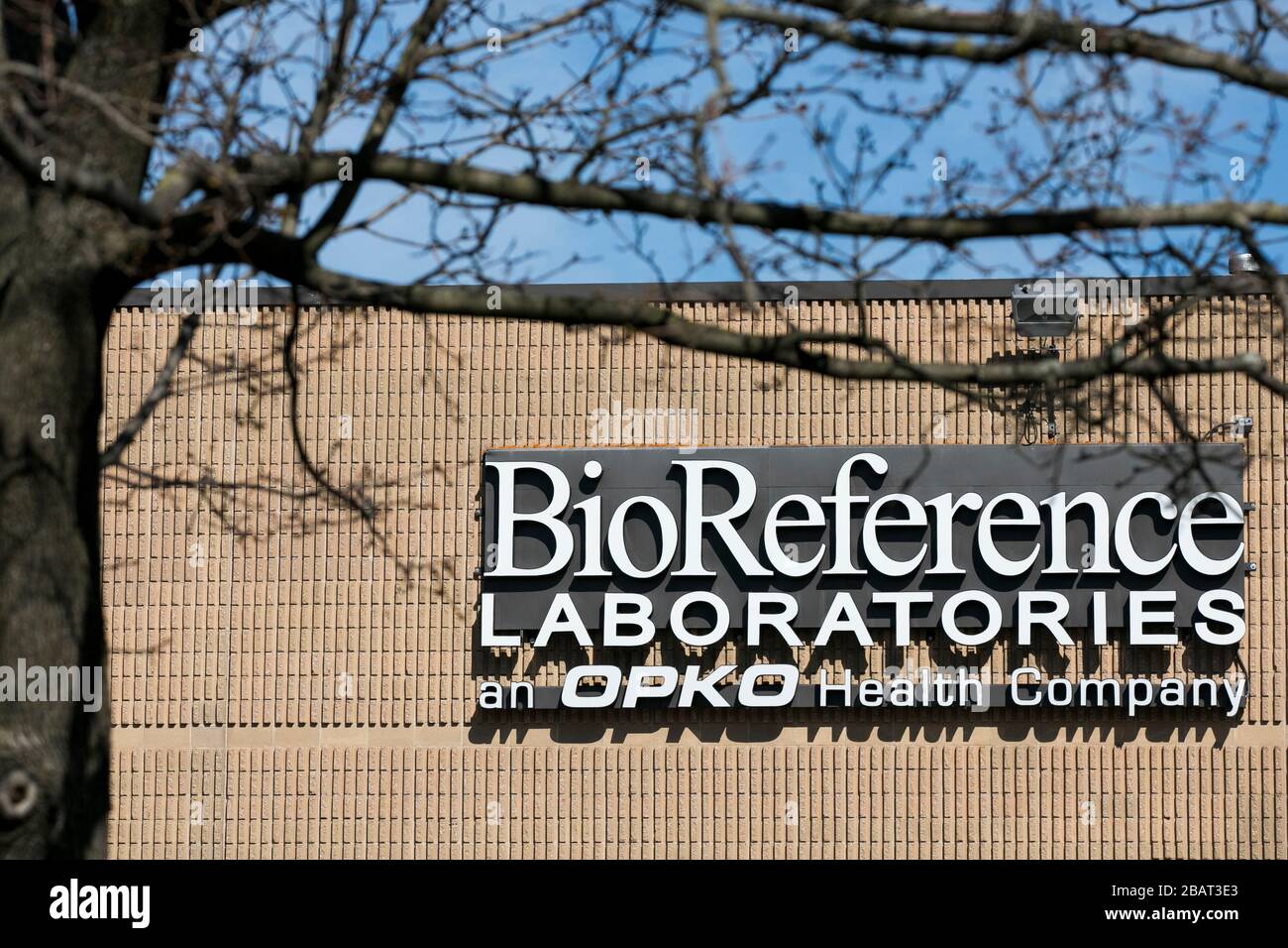 Elmwood park hires stock photography and images Alamy