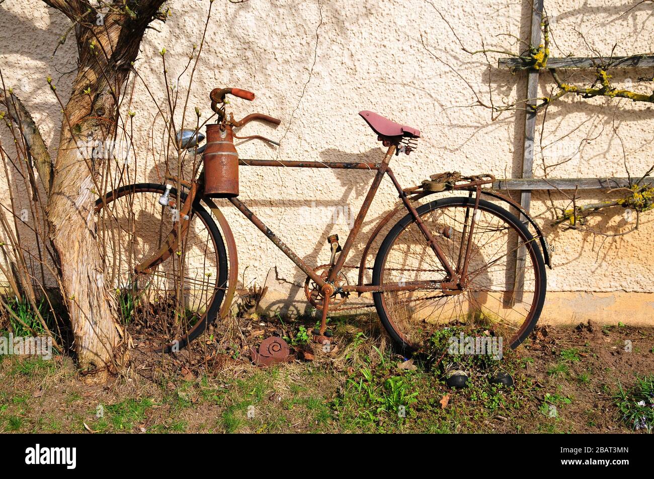 Milk bike High Resolution Stock Photography and Images - Alamy