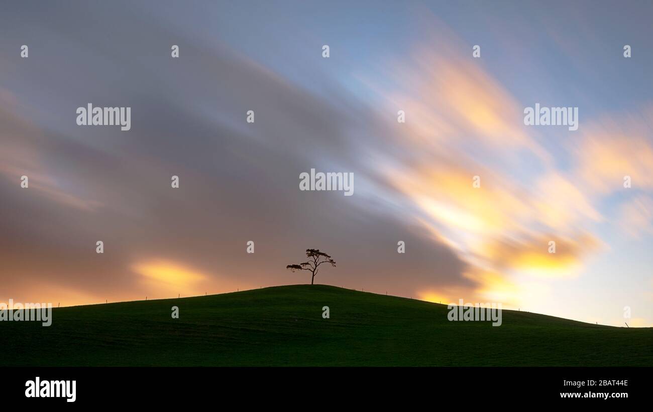 Irish landscape. Ireland. The lonely tree. Isolated tree on the top of a field. Quiet and peaceful scenery. Isolation time. Stock Photo