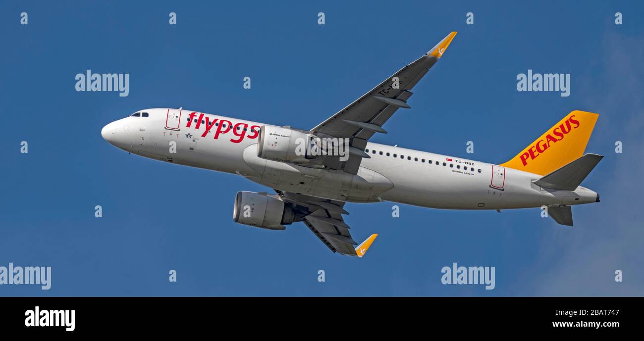 Flypgs Stockfotos, Lizenzfreie Flypgs Bilder Depositphotos