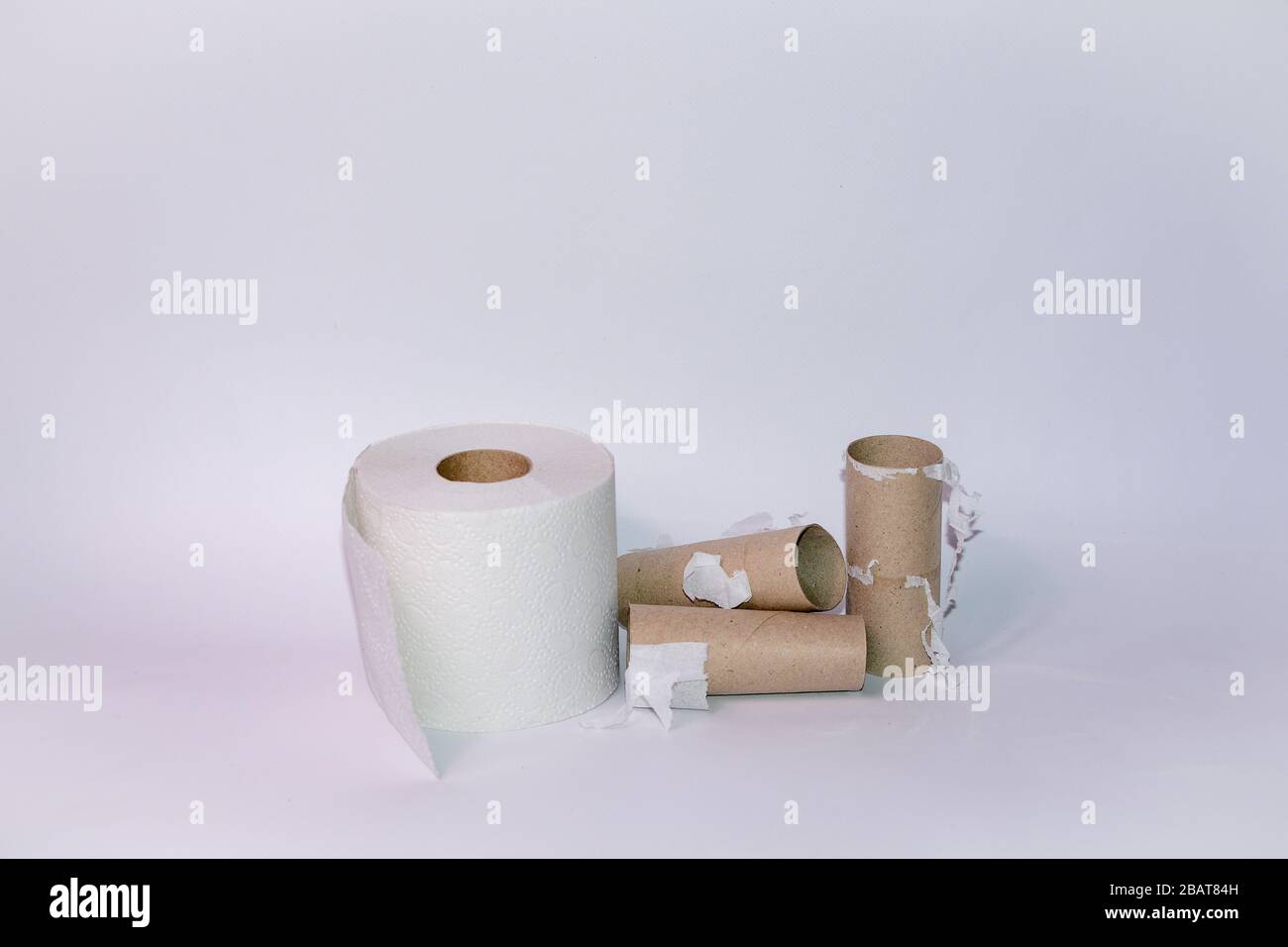 Empty and full toilet paper rolls on white background with plenty of