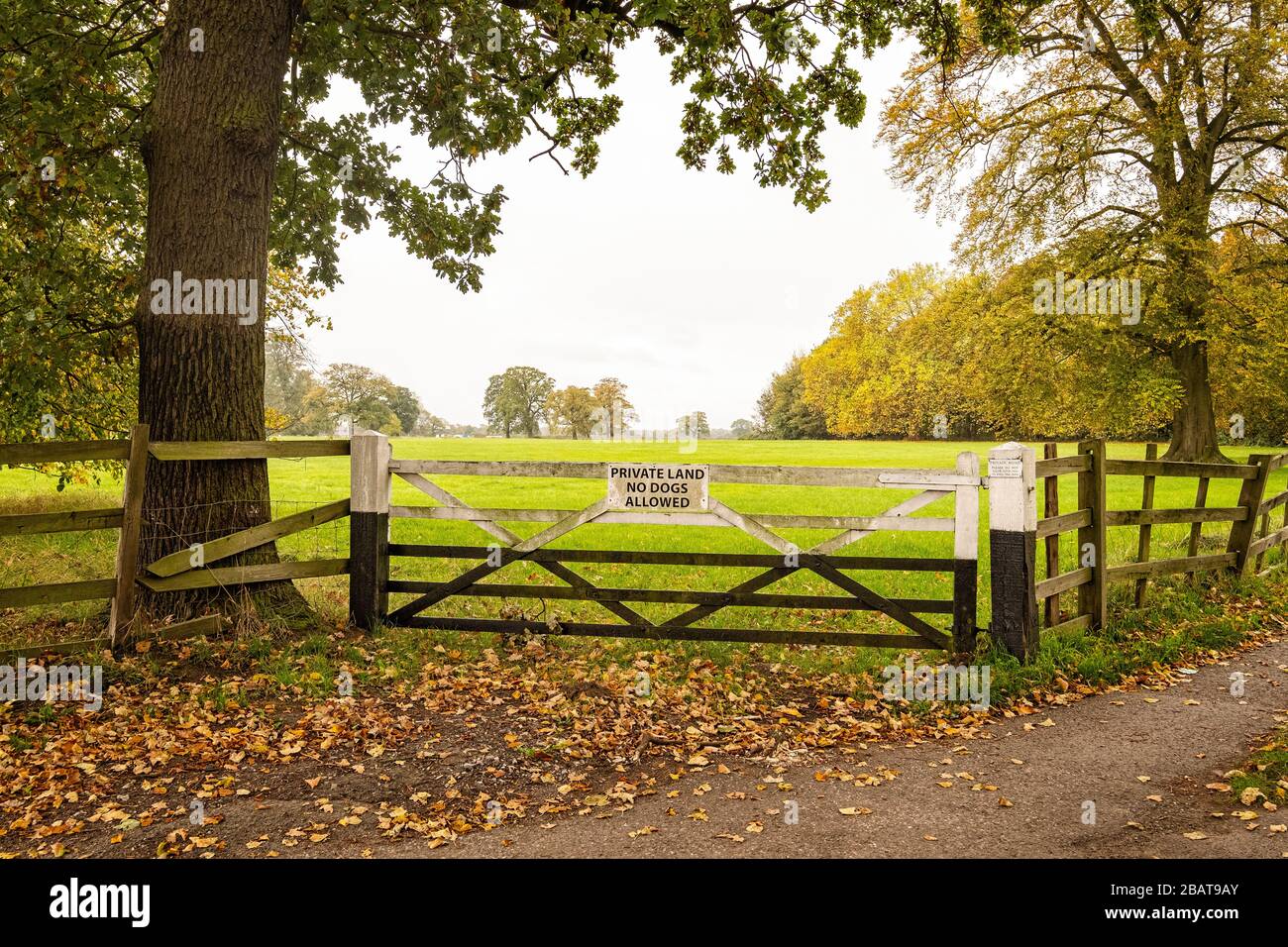 Private land, no dogs allowed, sign on farm land gate in Cheshire UK Stock Photo