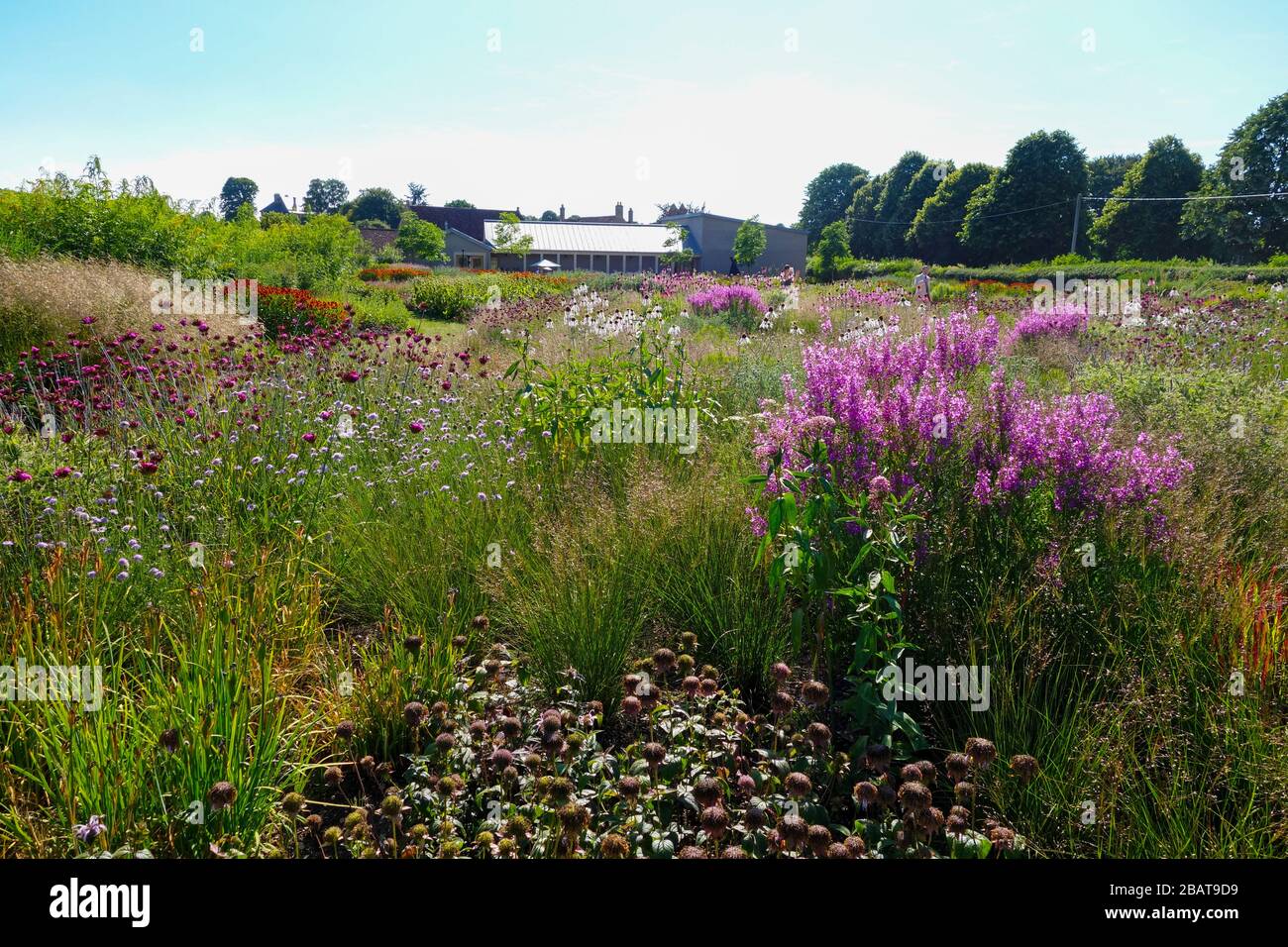 The Oudolf Field at the Hauser & Wirth garden, designed by landscape gardener Piet Oudolf at Bruton, Somerset, England, UK Stock Photo