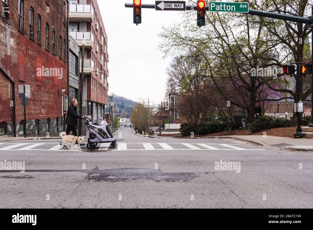 Asheville, USA. 29th Mar 2020. A woman walks her dogs during the coronavirus stay-at-home order in Asheville, NC, USA. Credit: Gloria Good/Alamy Live News Stock Photo