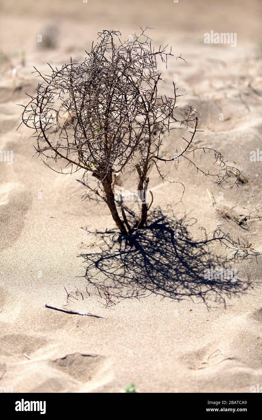 Sand abstract background Stock Photo - Alamy