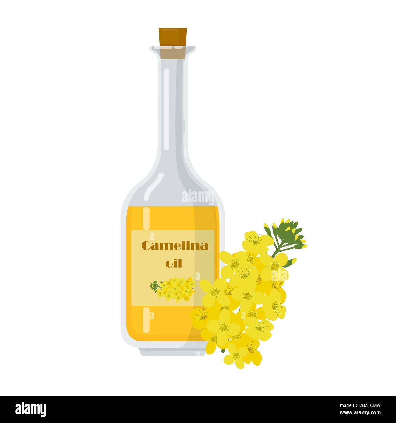 Bottle with camelina sativa oil. Stock Vector