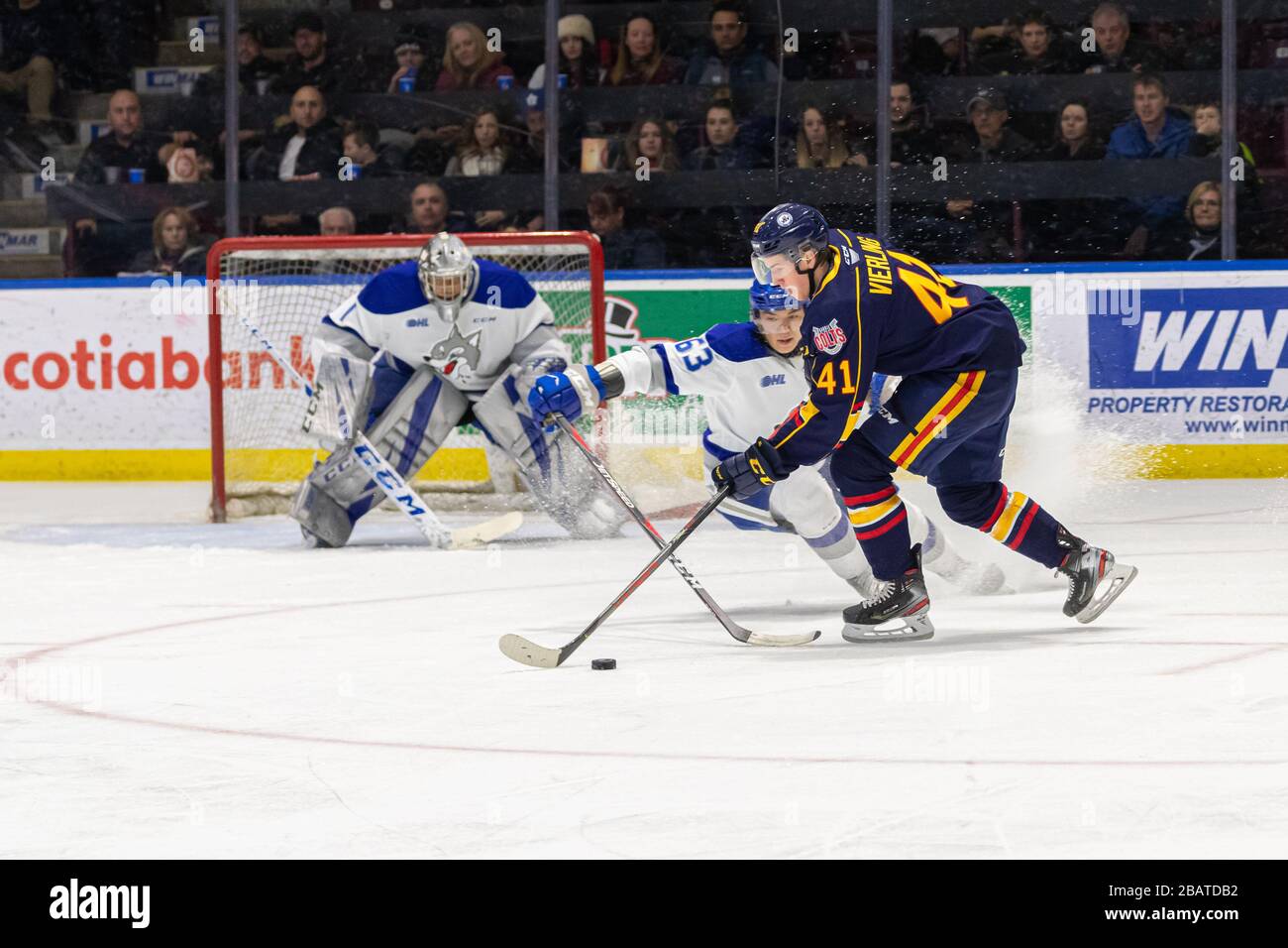Canadian Ice Hockey Stock Photo
