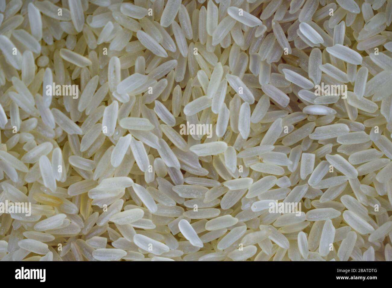 Lot of rice grains stacked together where the the grains are portrait ...