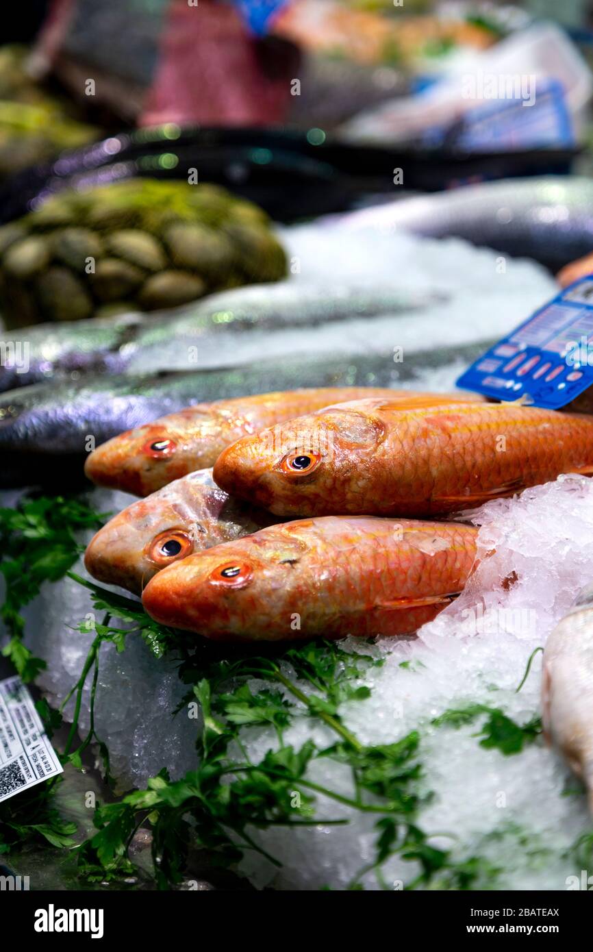Fresh fish at fishmongers stall in Mercado de la Encarnacion, Seville, Andalusia, Spain Stock Photo