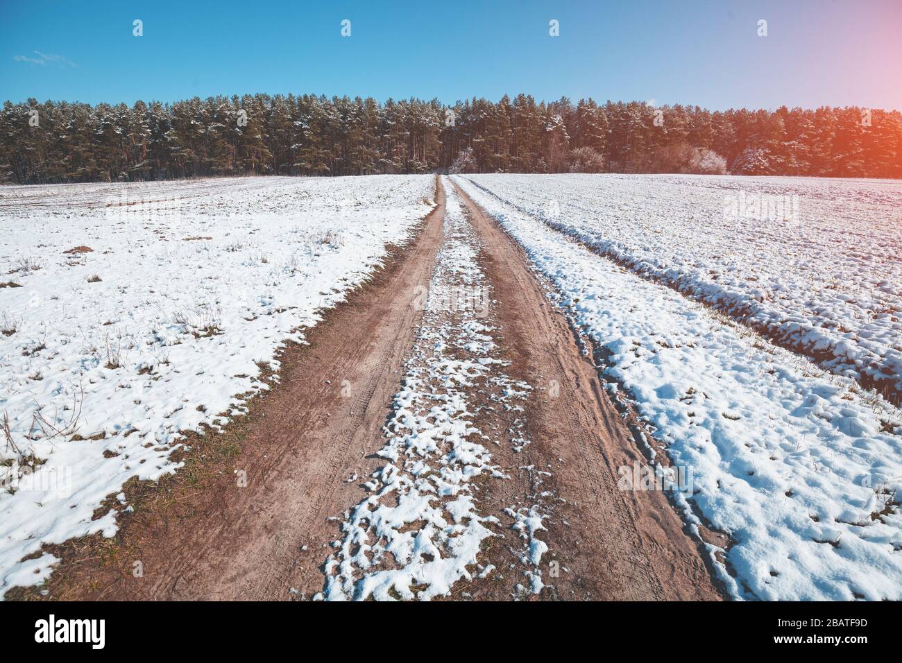 Rural winter landscape on a sunny day. Frosty weather. Dirt road in the field and pine forest on background Stock Photo