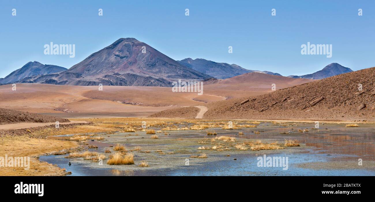 How to swim in the rio grande river hires stock photography and images