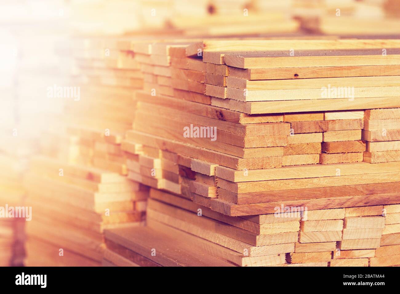 Workman at the sawmill. Young hardworking man Stock Photo