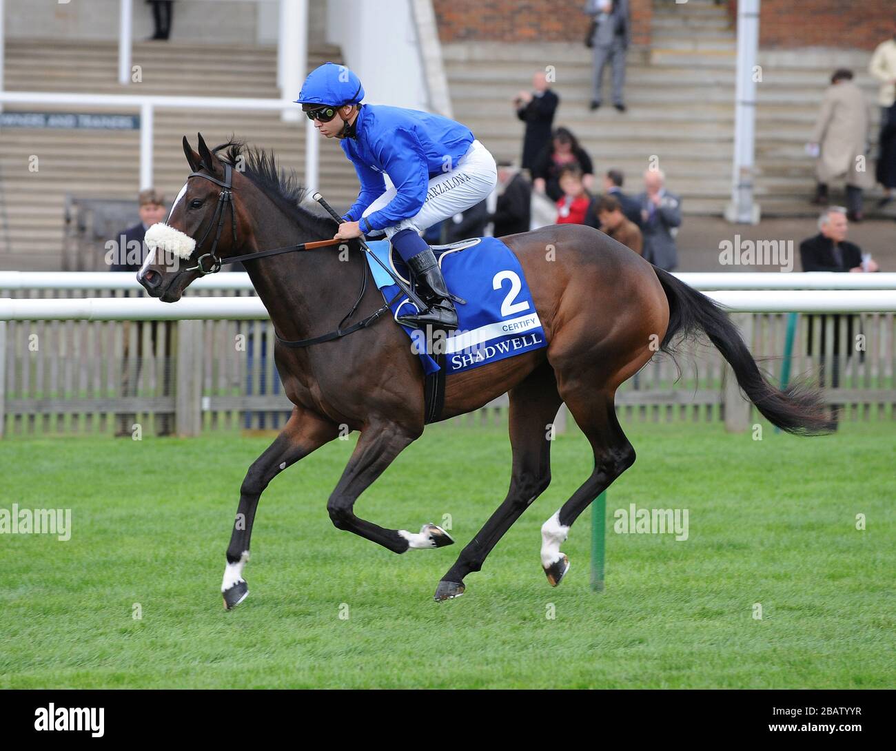 Certify ridden by Mickael Barzalona in the Shadwell Fillies' Mile (Group 1) Stock Photo