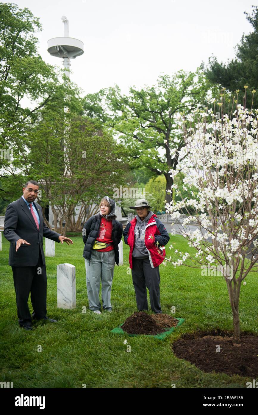 Cemetery planting hires stock photography and images Alamy