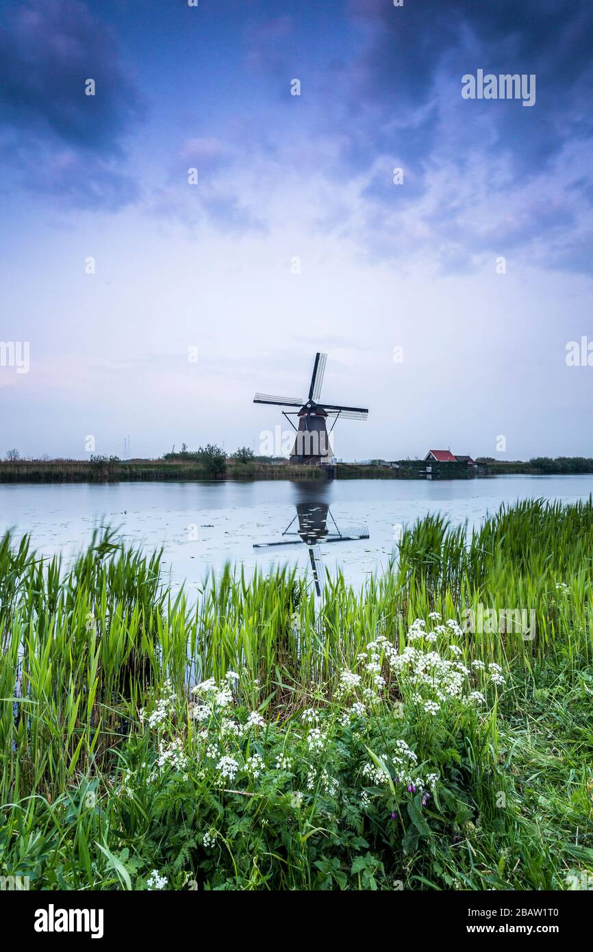 Traditional dutch windmills at the Unesco World Heritage Site in