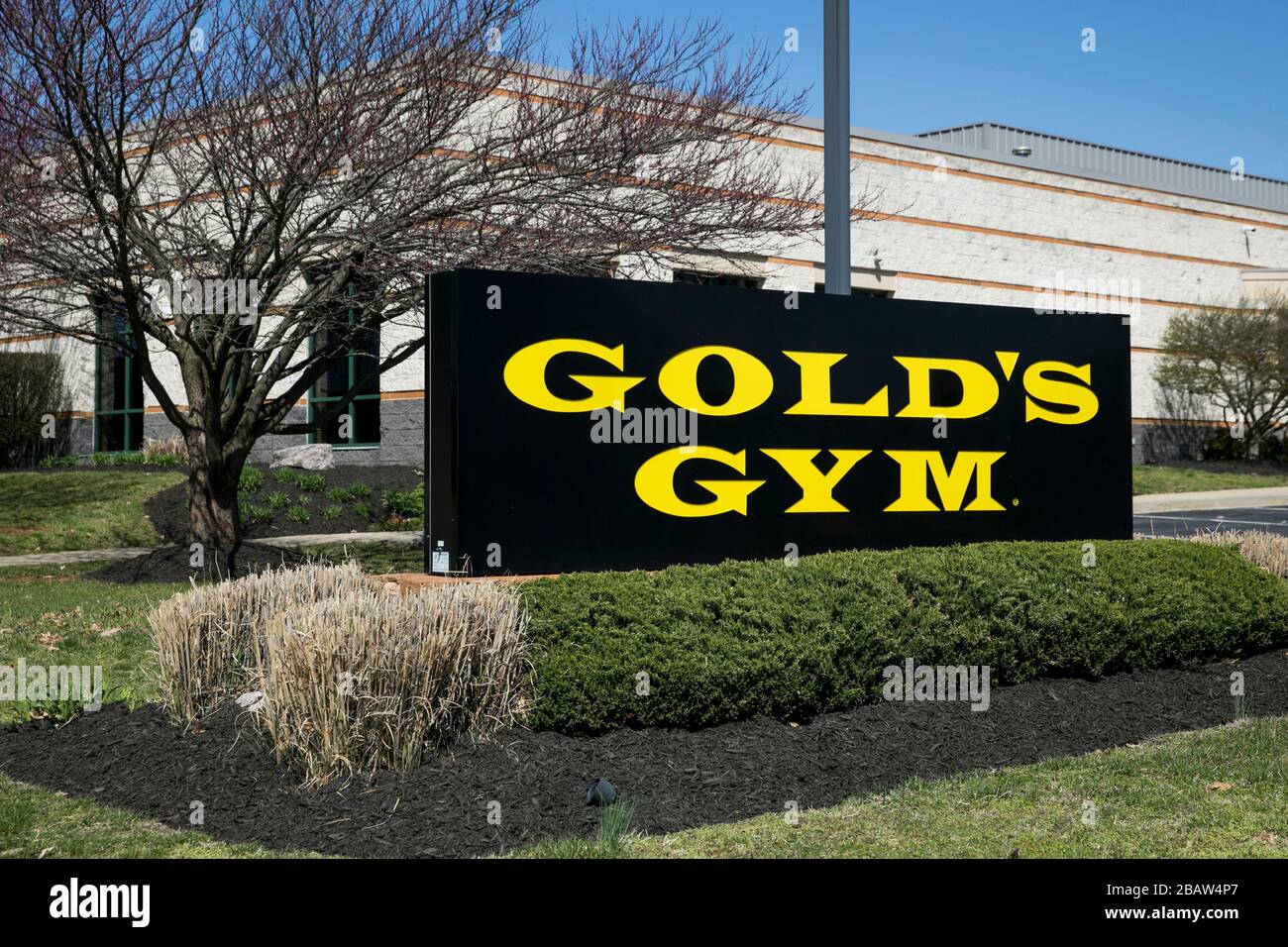 Golds gym logo hi-res stock photography and images - Alamy