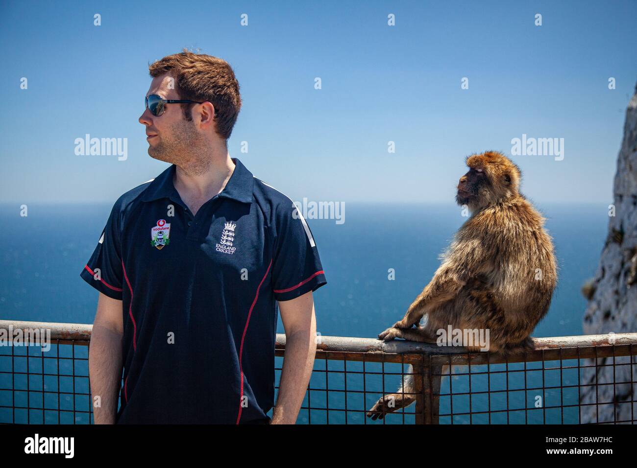 A man with his back to a barbary ape (Macaca sylvanus) at the Top of the Rock, Gibraltar Stock Photo