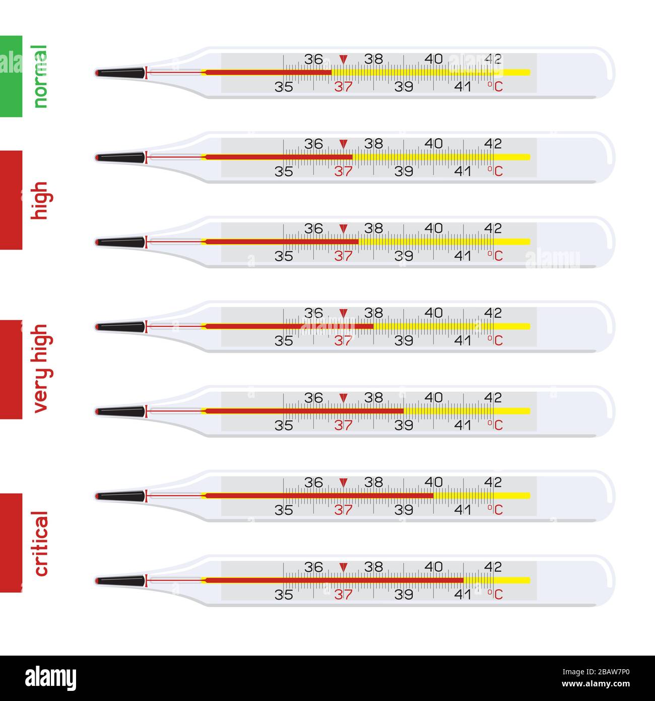 human temperature thermometer set Stock Vector Image & Art Alamy