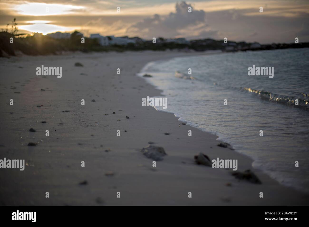 Beach shore waves sunset sand hi-res stock photography and images - Alamy