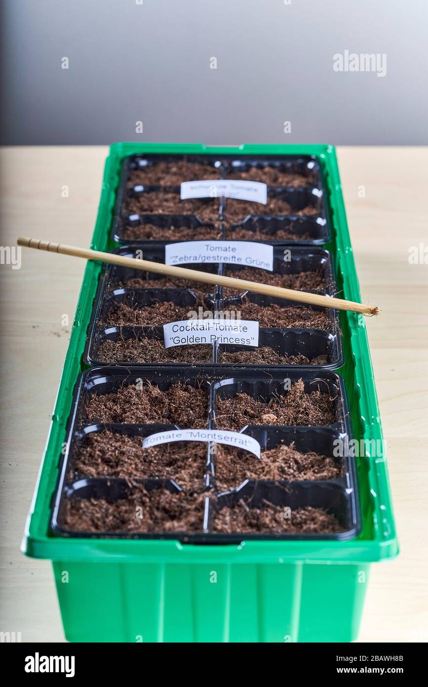 A container with compartments filled with soil wherein differetn types