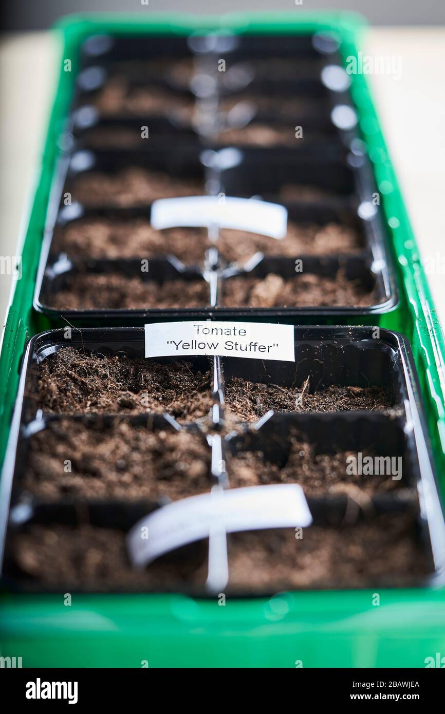 A container with compartments filled with soil wherein differetn types