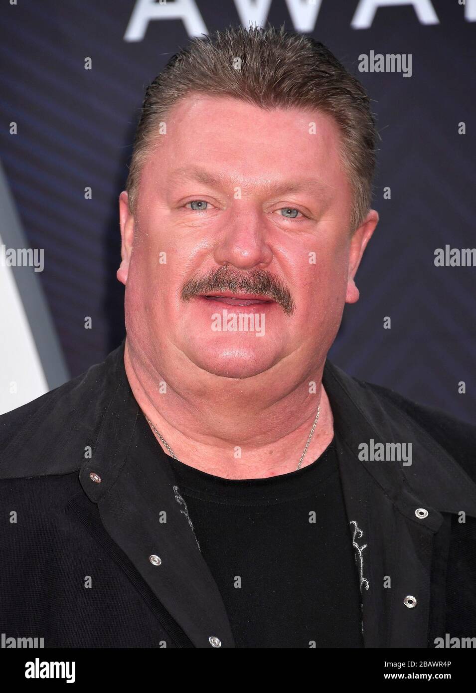 29 March 2020 - GRAMMY®-winning country music legend Joe Diffie passed ...