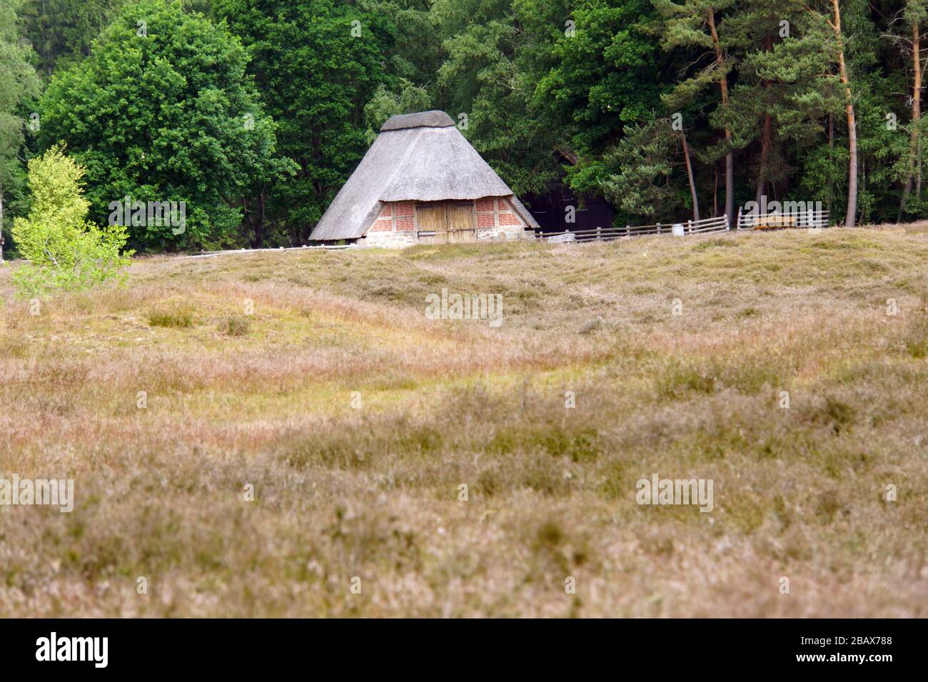 Scheune im Gräberfeld von Pestrup, Wildeshausen, Niedersachsen, Deutschland Stock Photo