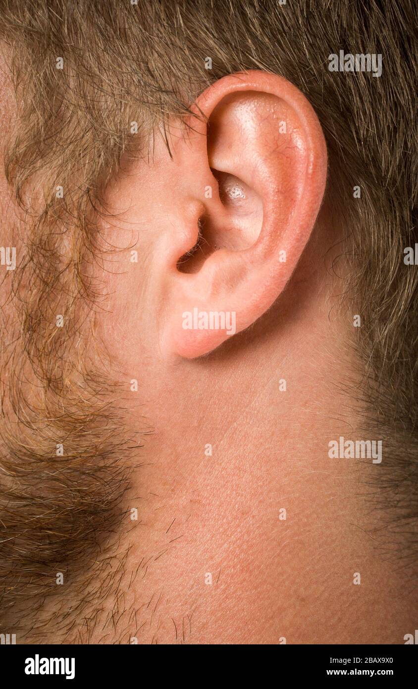 human ear detail macro close-up Stock Photo