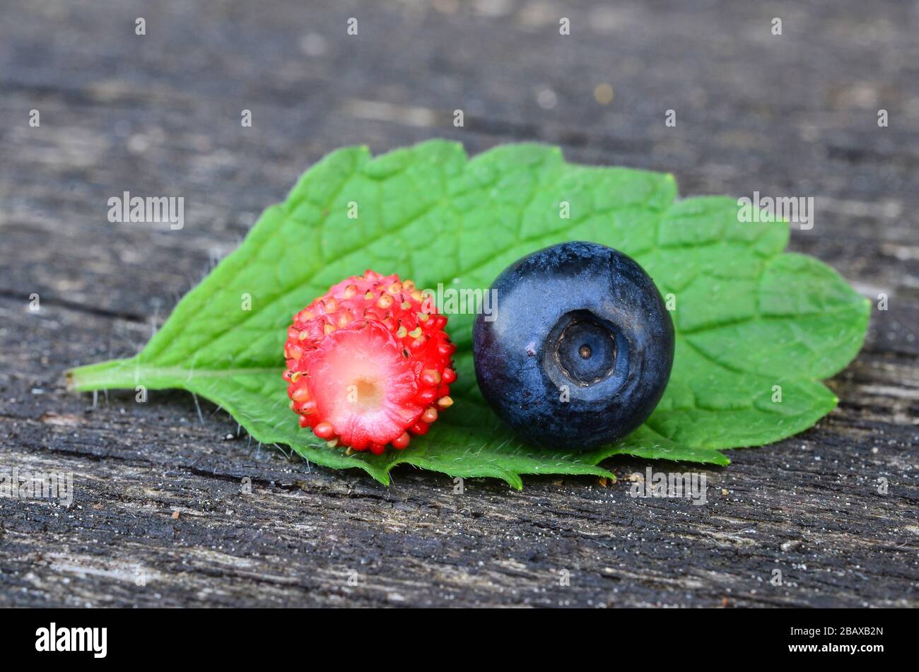One single blueberry, wild strawberry and  lemon balm leaf on old oak teble, macro shot Stock Photo