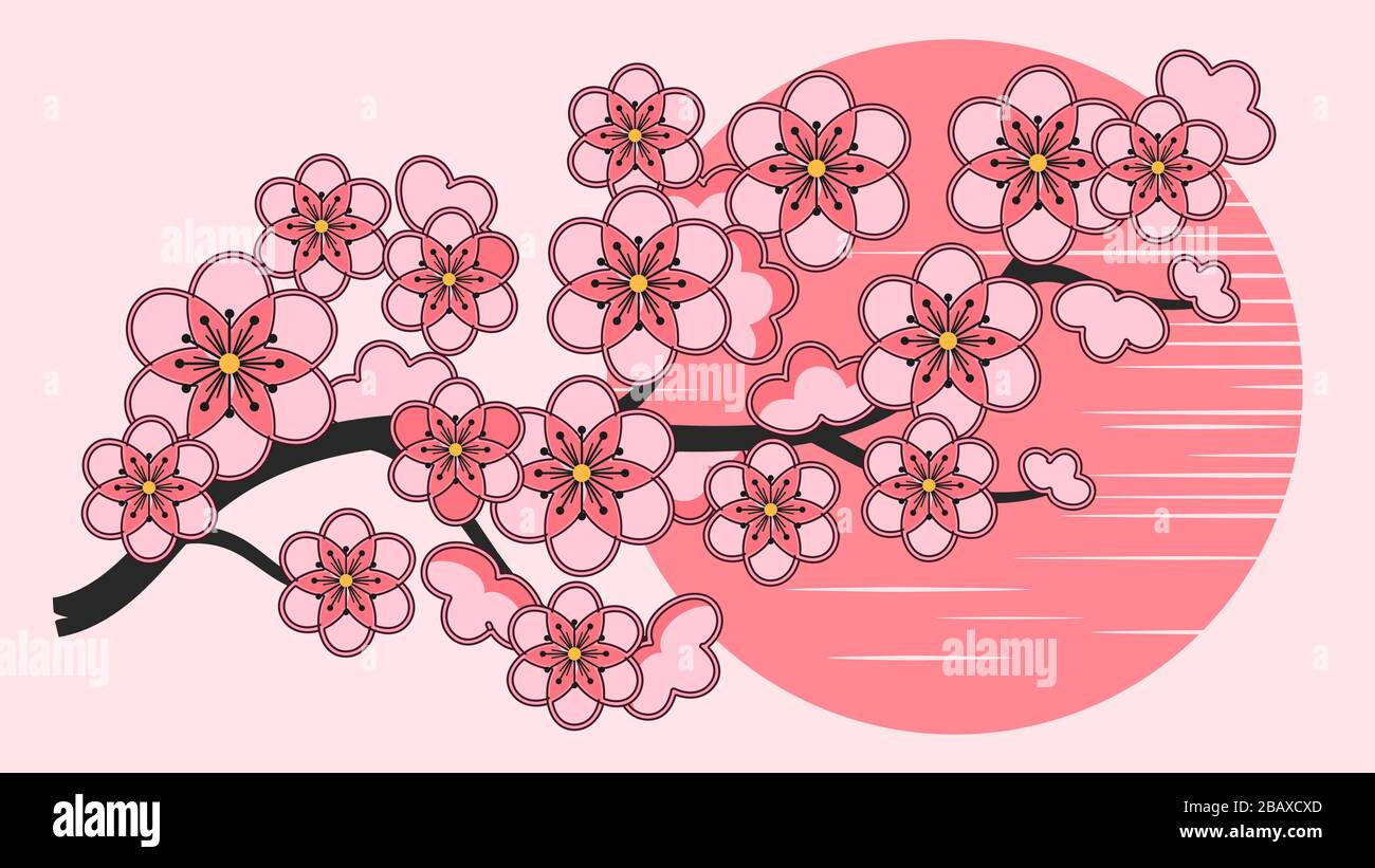 Sakura Flowers Background. Cherry Blossom Isolated Vector Illustration ...