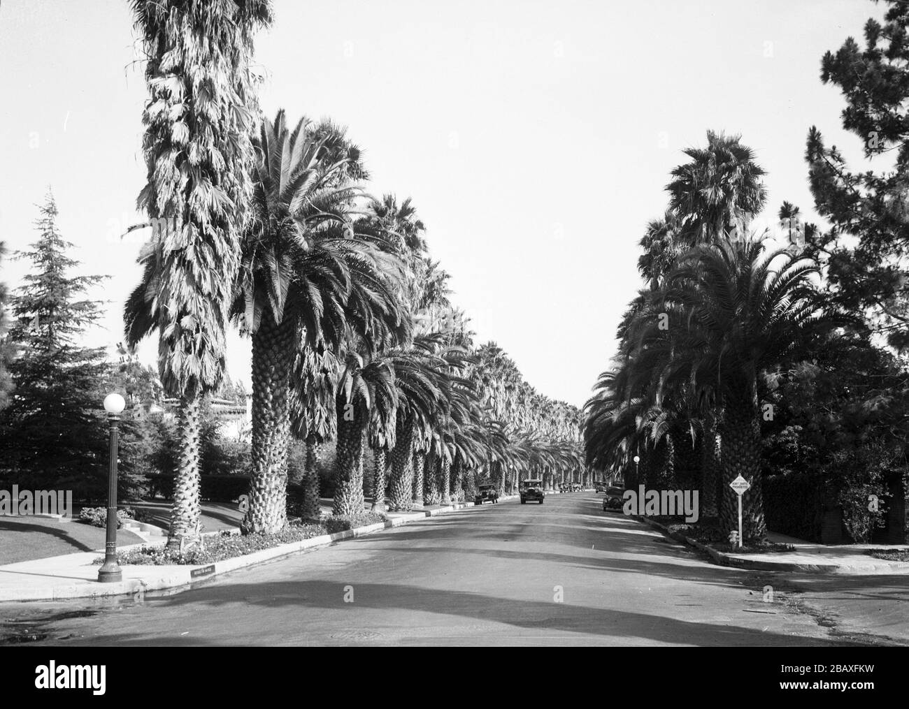 Palm treelined Beverly Drive, Beverly Hills, California, 1931. (Photo by Burton Holmes Stock