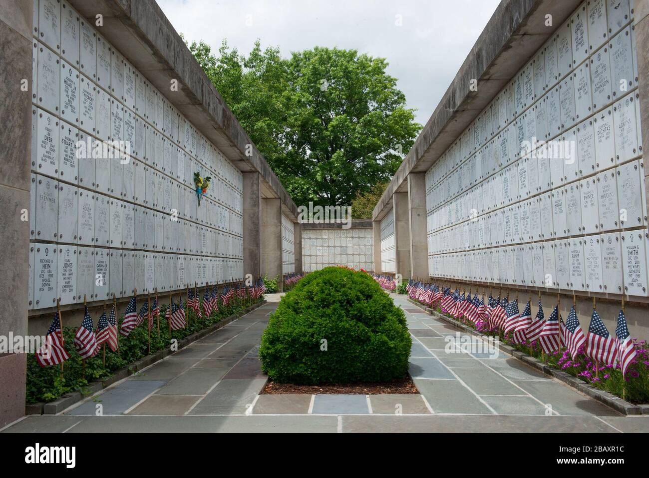 'Flags line The Columbarium Court 2 of Arlington National Cemetery for Flags-In, Arlington, Va., May 25, 2017.  Over 280,000 American flags are placed at each headstone in the cemetery before Memorial Day. (U.S. Army Photo by Elizabeth Fraser/Arlington National Cemetery/released); 25 May 2017, 13:06; Members of the 3d U.S. Infantry Regiment (The Old Guard) Participte in Flags-In - May 25, 2017; Arlington National Cemetery; ' Stock Photo