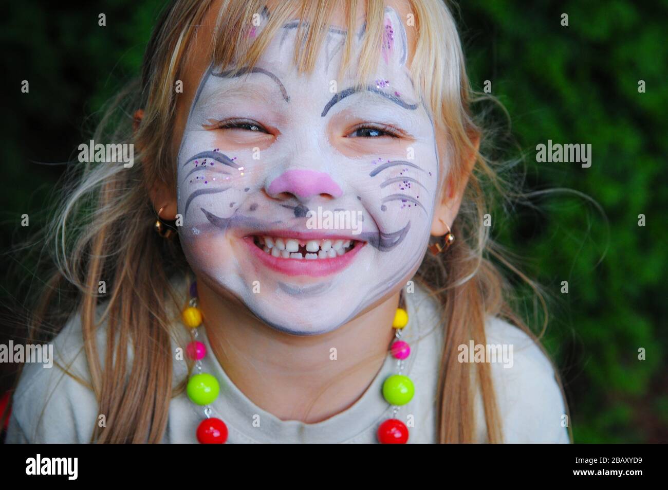 Face painting Cat mask on little girl Stock Photo Alamy