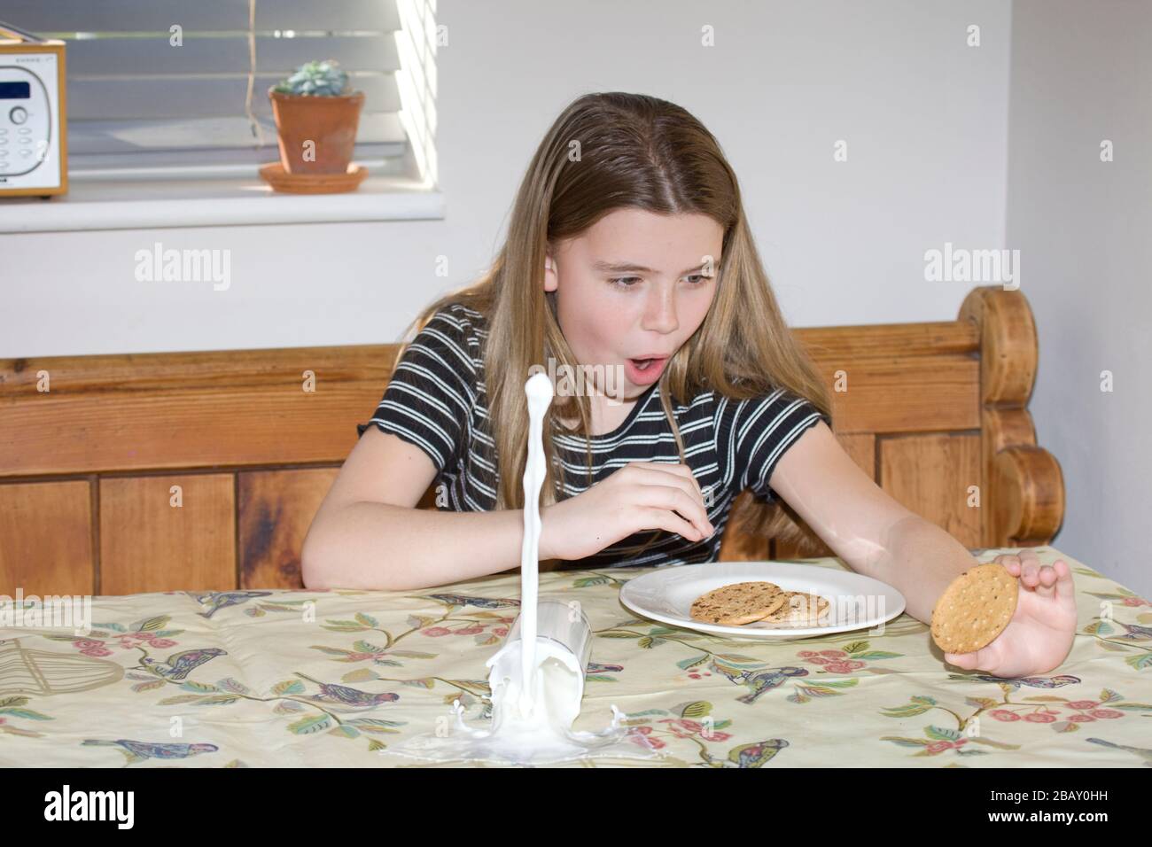 Young girl knocking glass of milk over sat at the kitchen table Stock Photo