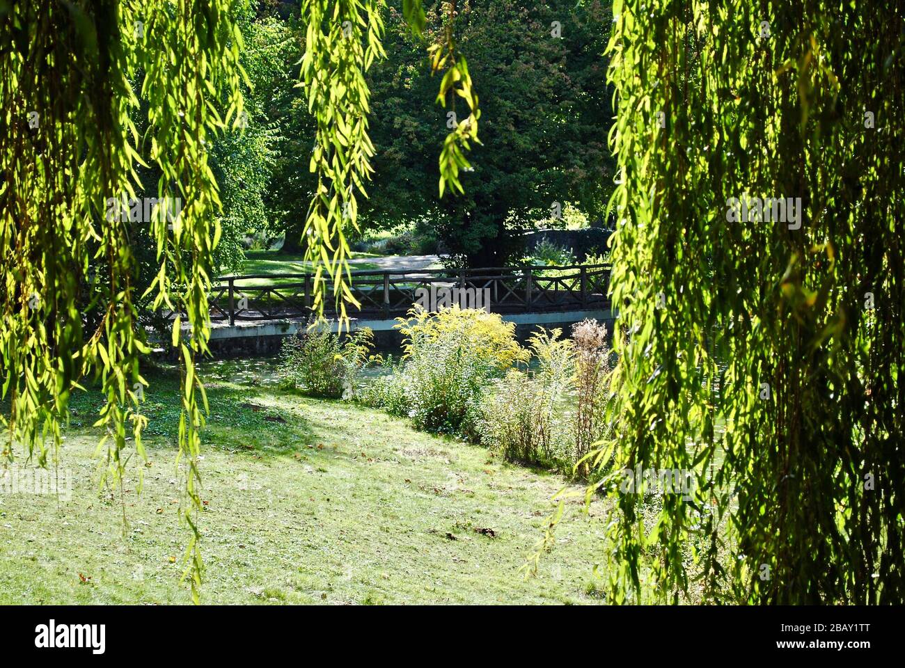 Willow trees frame a sunny park. Kurpark Bad Nauheim, Germany. Stock Photo