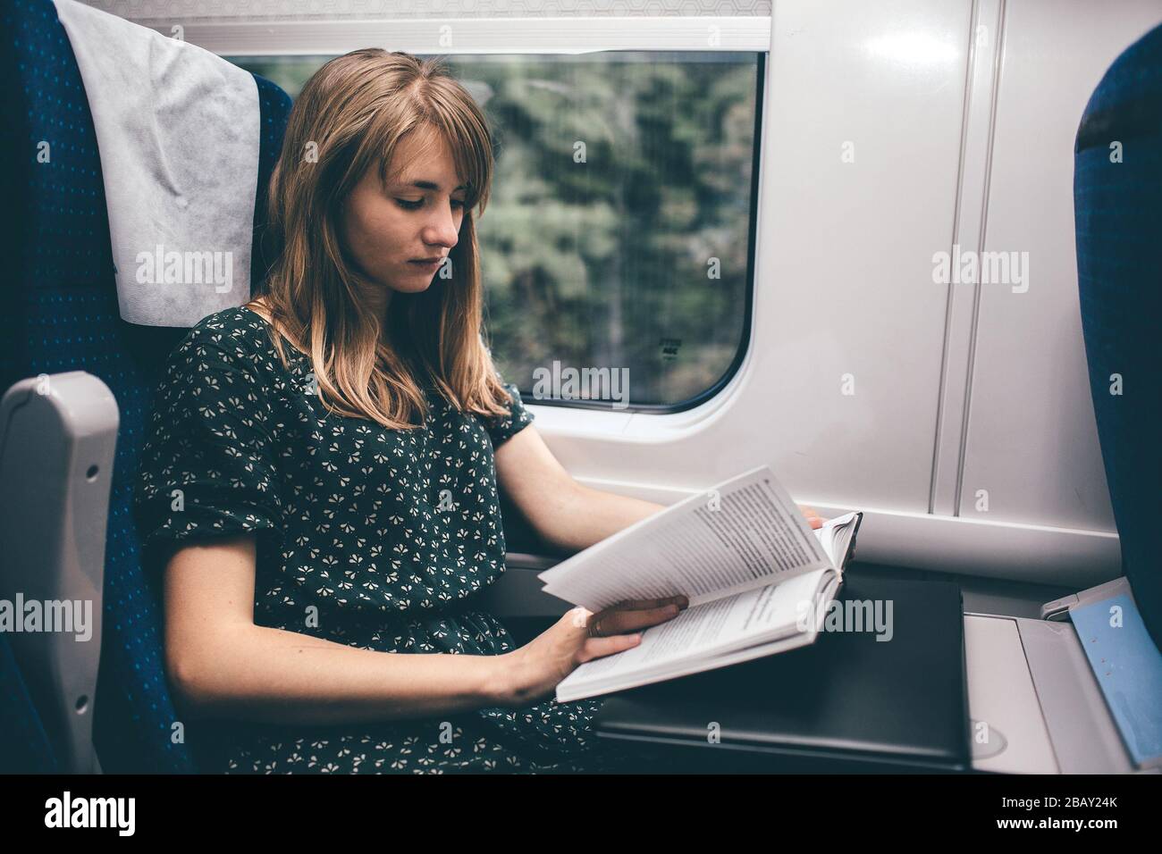 Young woman travel in train. Sit alone and read book. Concious and concentrated on process. Smart woman studying or reading. Alone inside train. Stock Photo
