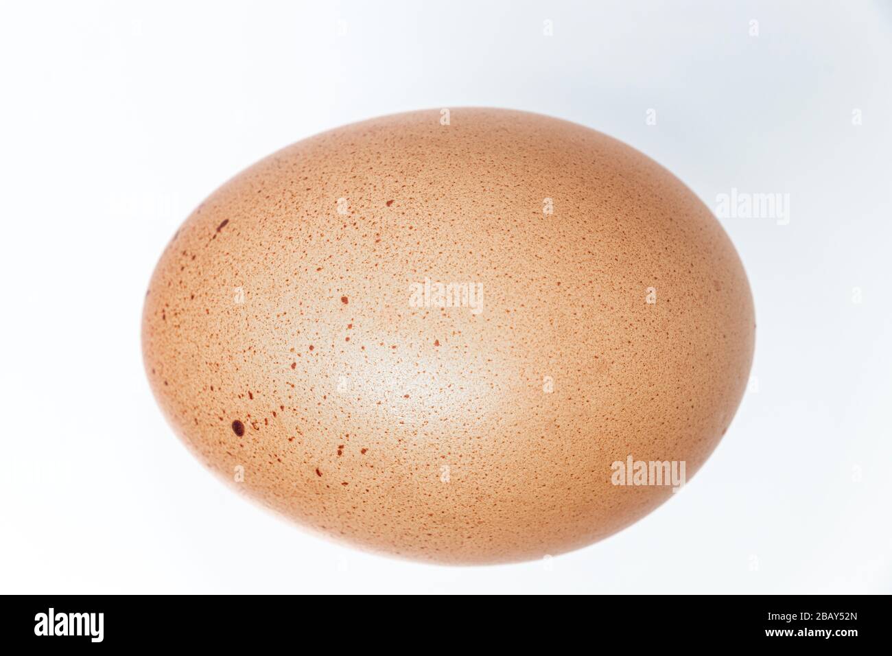 Organic farm egg isolated on white background. Chickens egg from ecologically clean areas Stock Photo