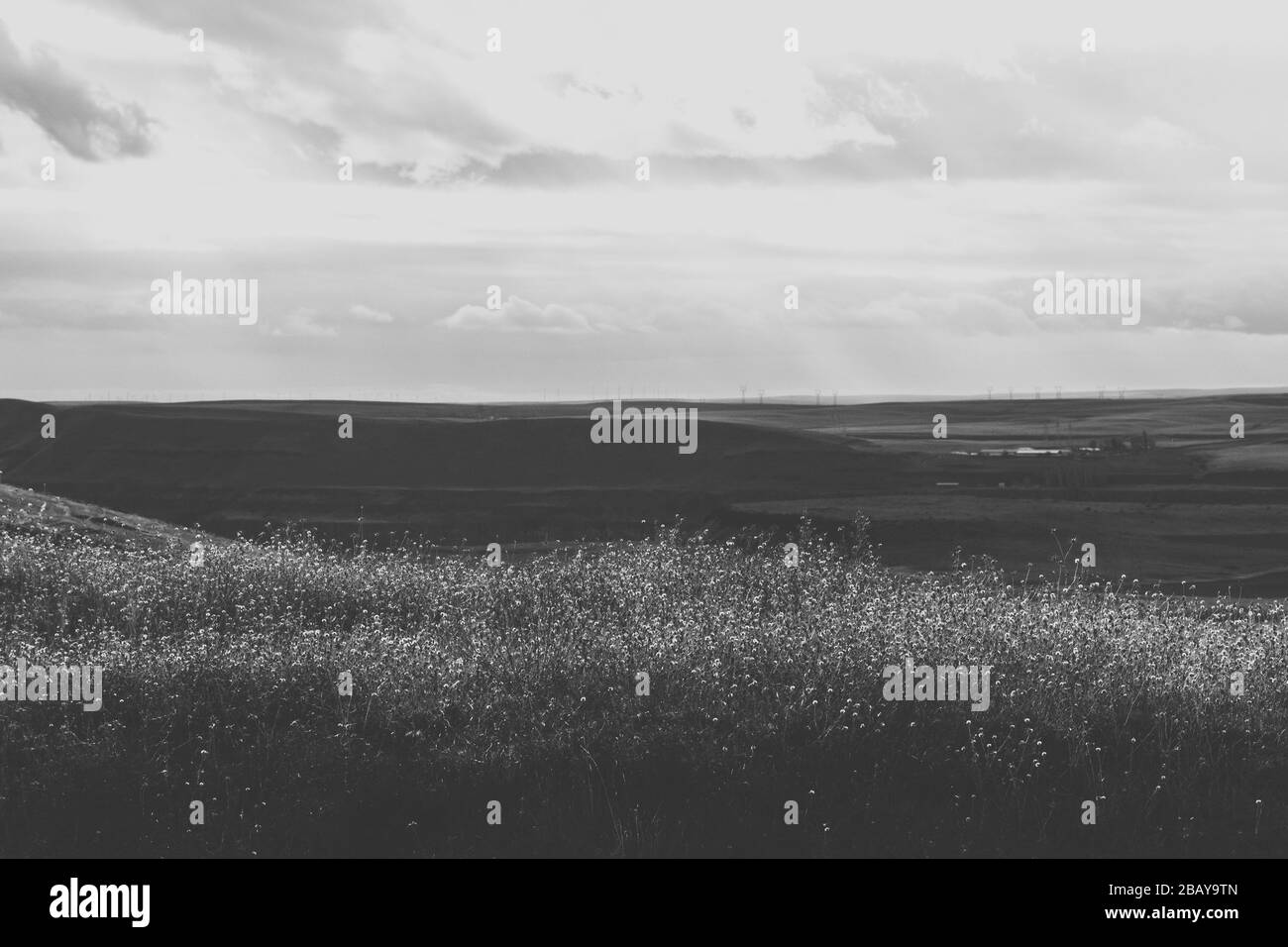 Countryside farm scenic Black and White Stock Photos & Images - Alamy