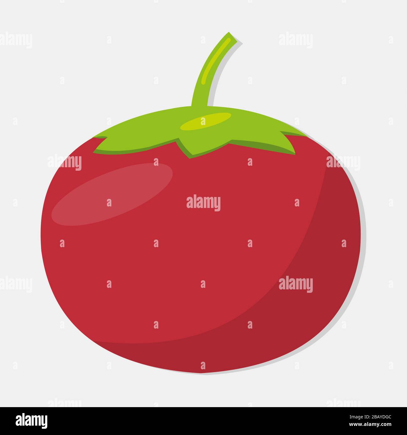 fresh tomato fruit isolated vector illustration Stock Vector