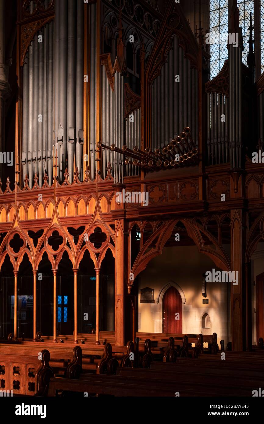 Interior of St Patrick's Cathedral, featuring its organ, in central Melbourne. Stock Photo