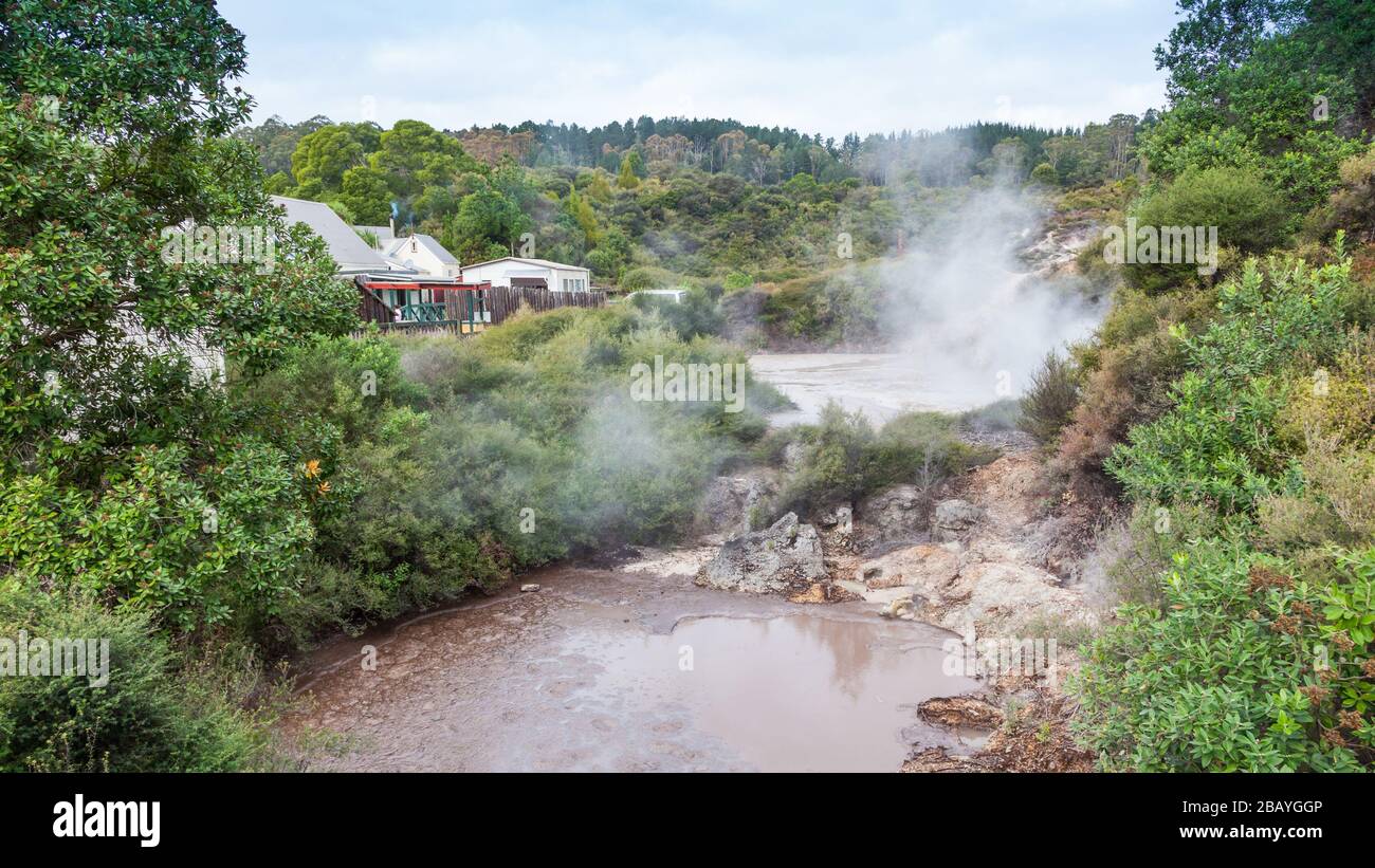 Geothermal activity at Whakarewarewa in Rotorua, Bay of Plenty Region ...