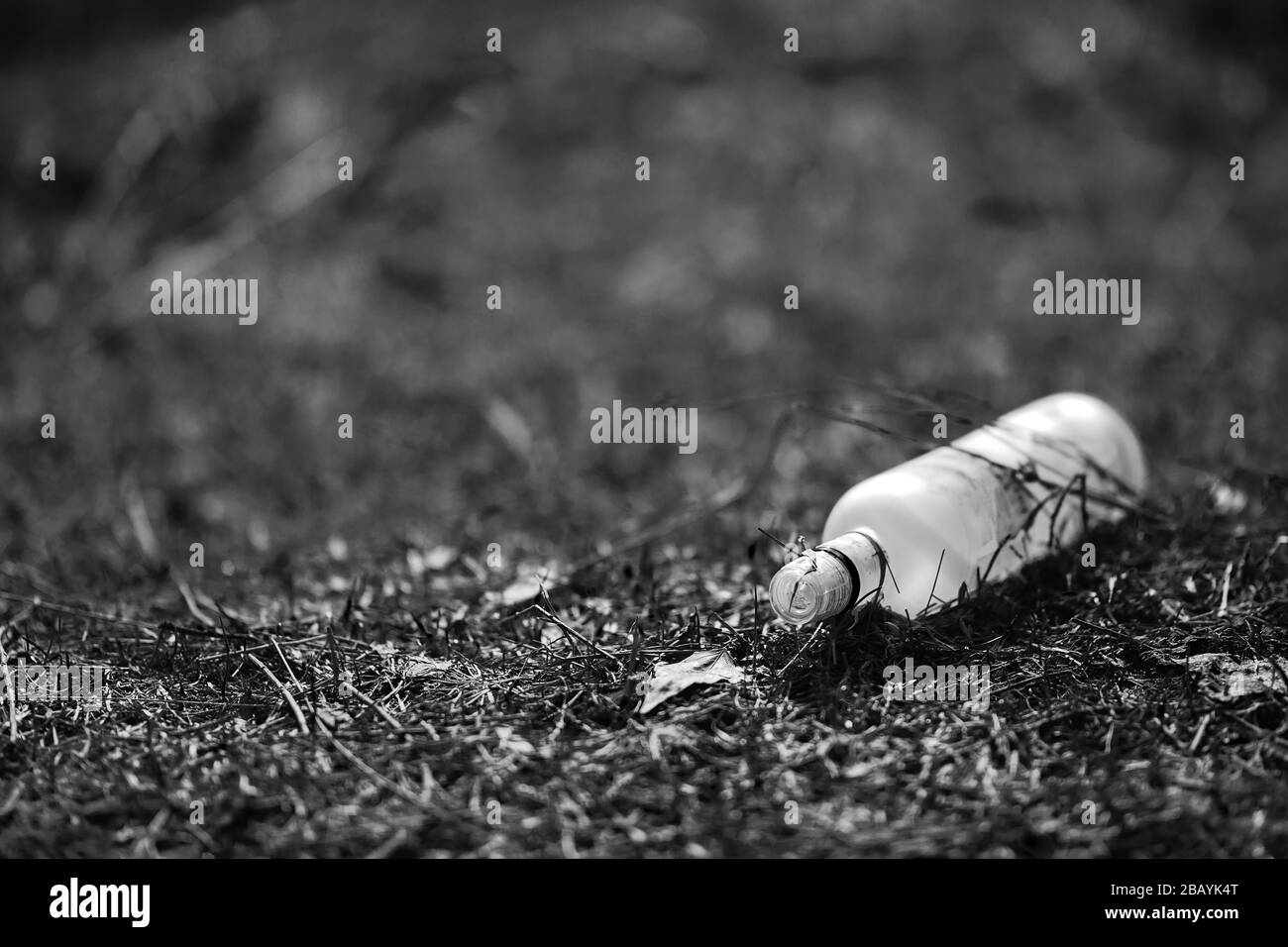 Empty white glass bottle lying on grass in early spring, polluted, conservancy. rubbish after last snows of winter black and white picture Stock Photo