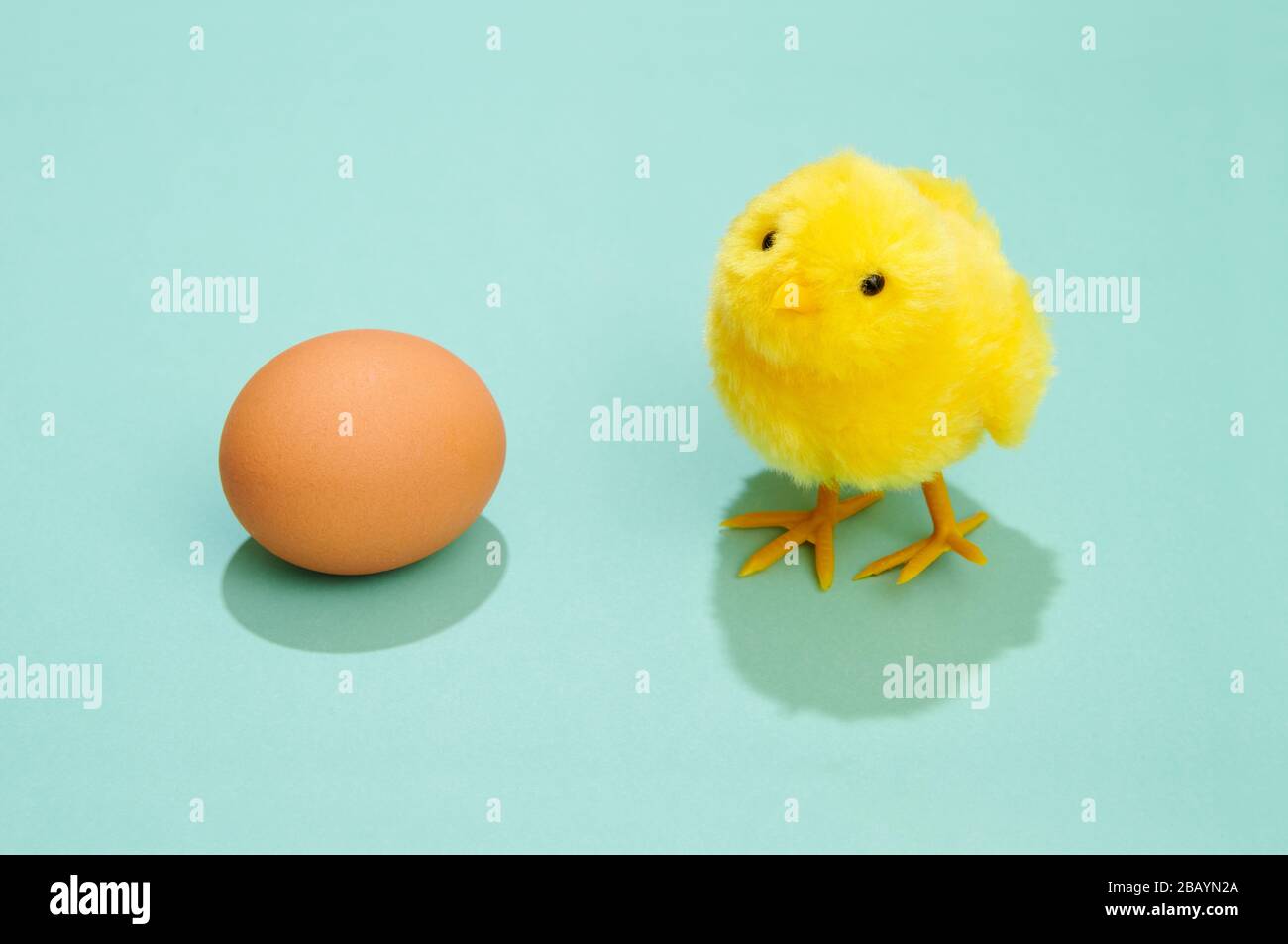 Cute fluffy yellow Easter chick with brown hens egg on a green background with copy space for a holiday greeting Stock Photo